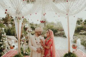 Vendor Photos
